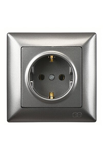 Günsan Visage Füme Topraklı Priz