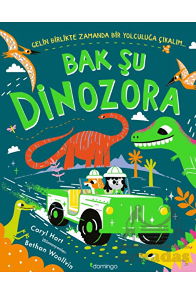 Domingo Yayınevi Bak Şu Dinozora