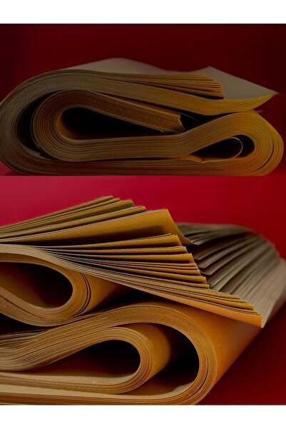 ORCOPY Alex Kraft Paper 125 Grams (50*70 cm) (Pack of 50) (2.18 kg)