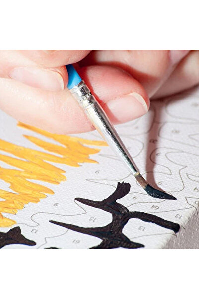 İZSA HOBİ Sayılarla Boyama Hobi Seti 40x50 Çerçeveli Numaralı Tuval Fırça Boya Dahil Amsterdam