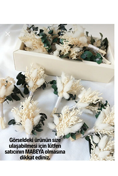 Beyma Damat Yaka Çiçeği Sağdıç Çiçeği