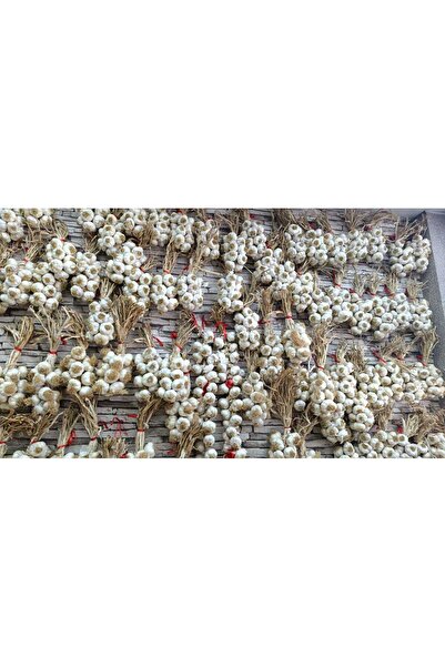 NORTHSTARSTORE Taşköprü Sarımsak Kastamonu 1 kg Küçük Boy