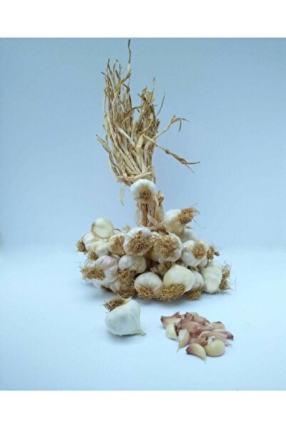 NORTHSTARSTORE Taşköprü Sarımsak Kastamonu 1 kg Küçük Boy