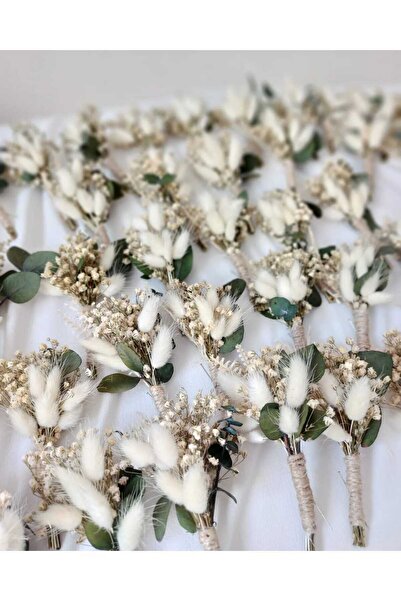 Beyma 10 قطع من زهرة العريس