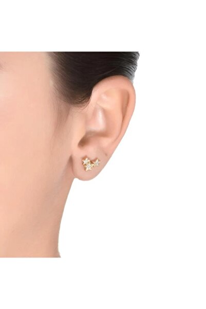 Luxenter Cercei din Argint 925 FAMILIA EH 107 Y 00-00