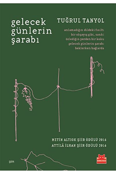 Kırmızı Kedi Yayınevi Gelecek Günlerin Şarabı