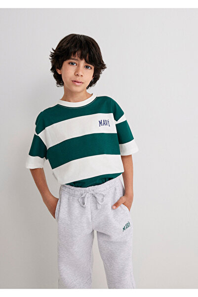 Mavi Logo Printed Green Striped T-Shirt Loose Fit / Loose Relaxed Fit 6610183 -88060