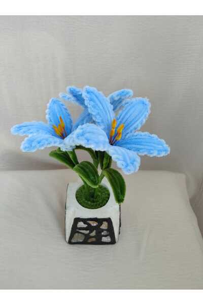 Badem Hediyecilik Zambak Saksı Çiçeği Mavi