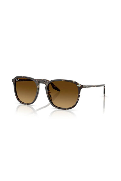 Ray-Ban Sunglasses Rb2203 52 143185