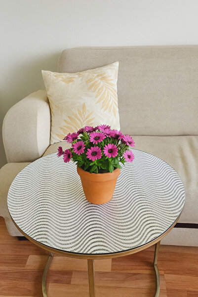 Rona Home Round Silver Coffee Table Table Cover – Pvc, Lace, Parallel Stripes, Transparent