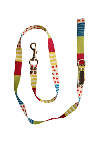 Oli and Lui Color Therapii Dog Walking Strap
