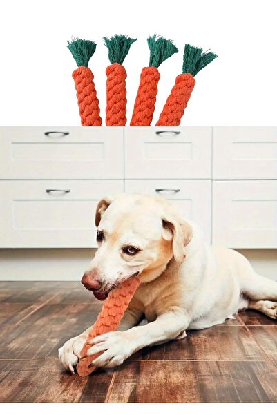 Oli and Lui Köpekler Için Eğlenceli Çiğneme Ipi - Havuç Çılgınlığı! Yeni Köpek Oyuncağı