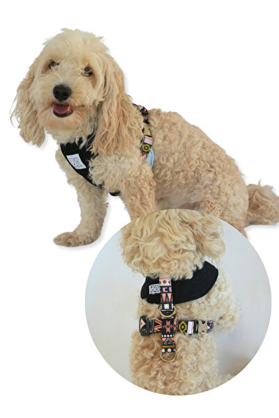 Oli and Lui Dark Aztec Denim Siyah Köpek Göğüs Tasması