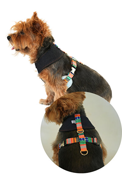 Oli and Lui La Festa Denim Köpek Göğüs Tasması