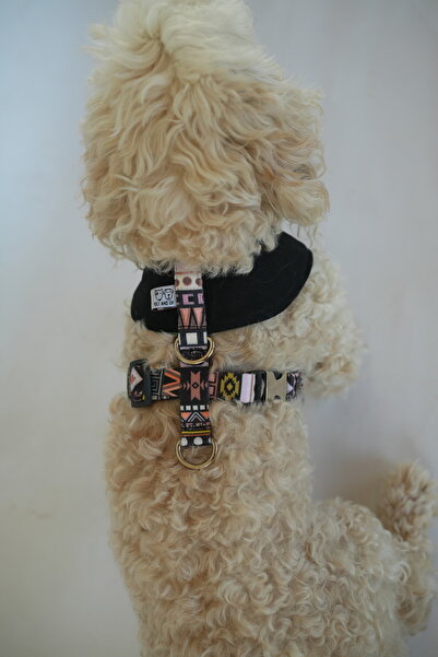 Oli and Lui Dark Aztec Denim Siyah Köpek Göğüs Tasması