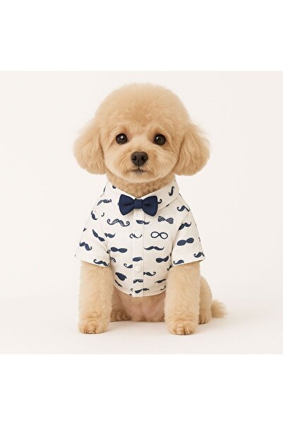 Dolce Pets Kedi Köpek Kıyafeti Gentleman Style/Köpek Tişört
