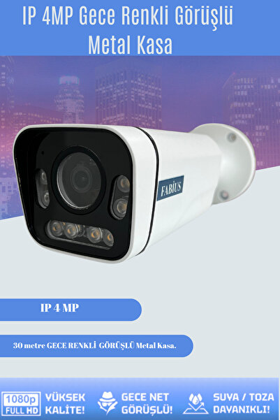 Fabius Gece Renkli Görüşlü Tekli Ip Poe Metal Kasa Güvenlik Kamerası