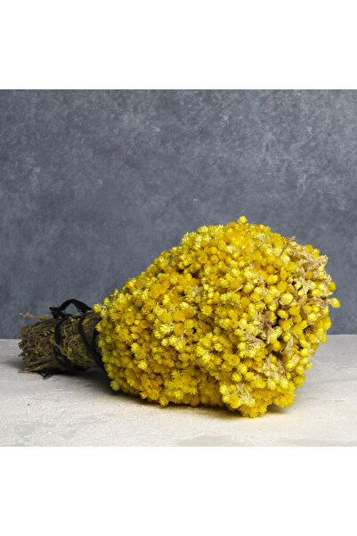 Yeşil İncir Altın (Ölmez) Otu Demet