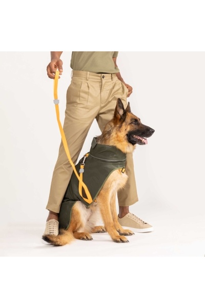 Lindodogs Softshell Army Green Küçük,Orta ve Büyük Irk Köpek Yağmurluğu