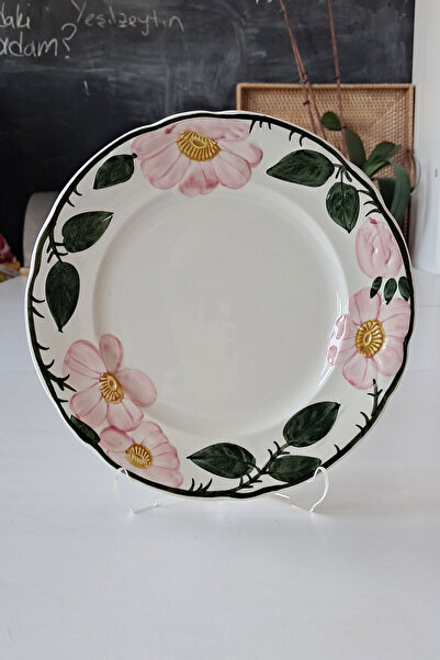 Villeroy & Boch Wild-Rose Hand Painting Antique Porcelain Pasta Plate Dark Green