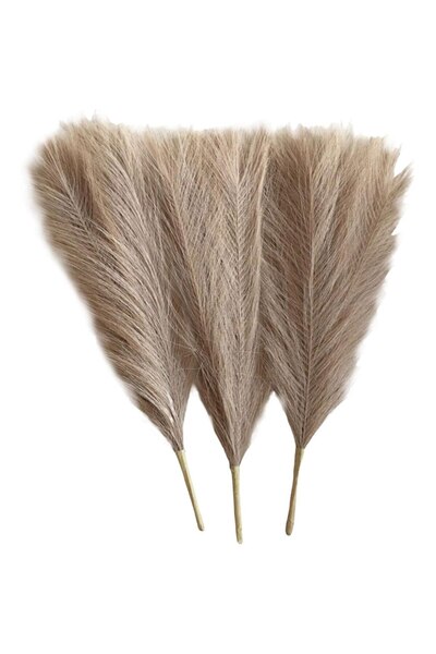 eZmart Set 3 Fire de Iarba de Pampas Sintetica, Decor Casa, Birou, Evenimente, Aspect Elegant, eZMART, Bej