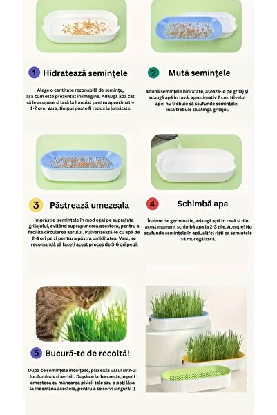 OBRO Cat Grass Growing Kit – Fast-Growing Seeds + Tray, Soil-Free, Ready in 2–3 Days, 50g, Random Color