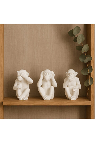 Decostonebiga MAYMUN ÜÇLÜ