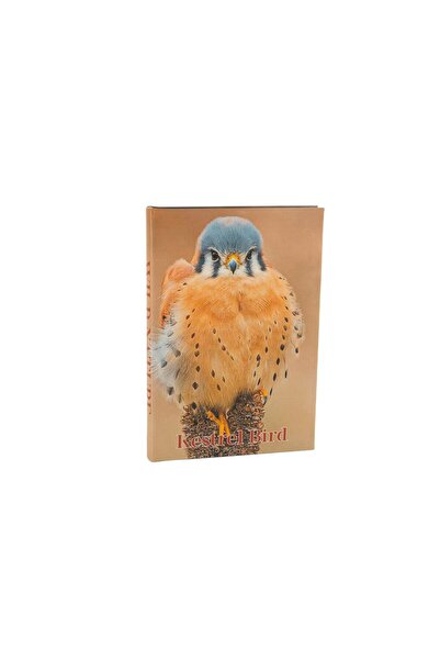 Mikasa Moor Kestrel Bird Book Box 35X24X3Cm