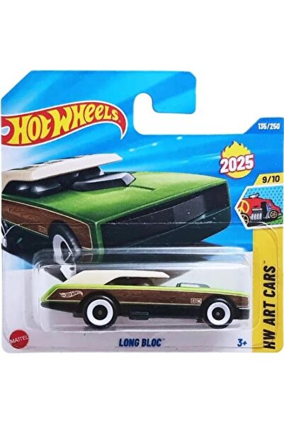 HOT WHEELS Tekli Arabalar Long Bloc HYX97 (Art Cars)