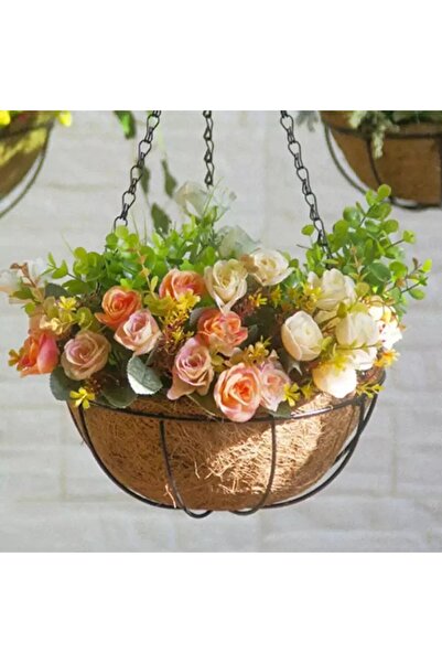 SH Coconut farm commentary center