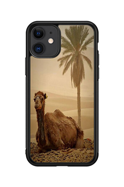 no markte كفر ايفون 11 متعدد الألوان