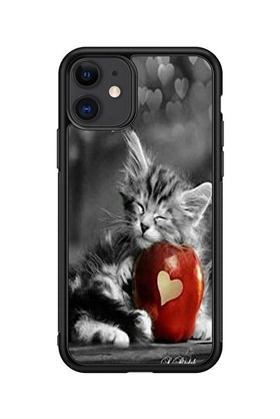 no markte كفر ايفون 11 متعدد الألوان