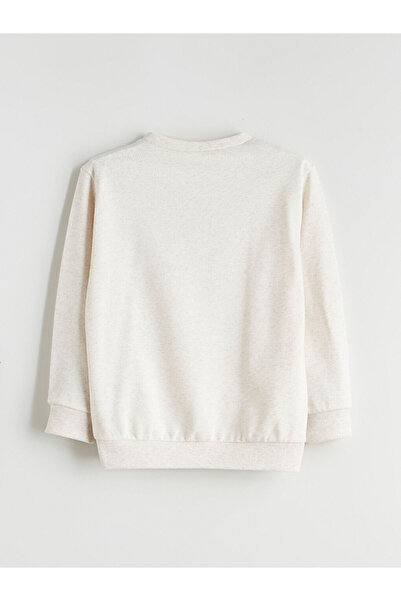 LC Waikiki Sparkling Selections from Shining Store | Crew Neck Printed Boys' Sweatshirt and Sweatpants…