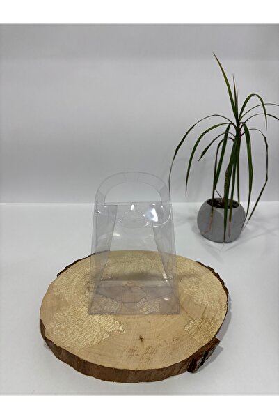 BURHAN AMBALAJ 12x10x6 Asetat Çanta [10 Adet]