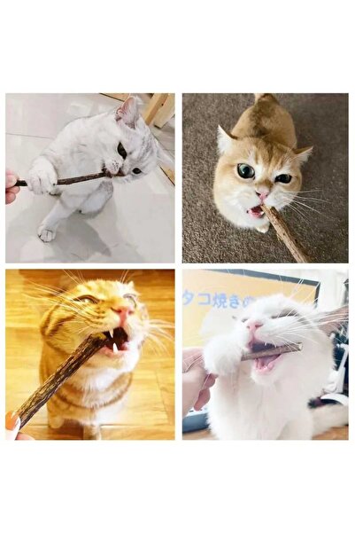 TİNEKE Natural Matatabi Cat Chew Stick 10 Pieces 15 mm Thick