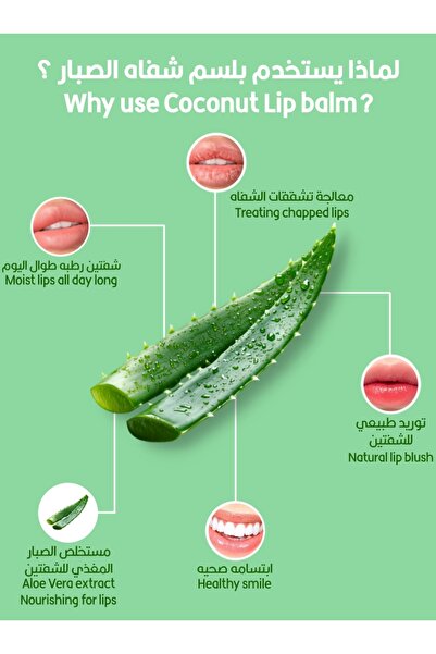 Farmstay بلسم مرطب شفاه أساسي بالصبار 10جم