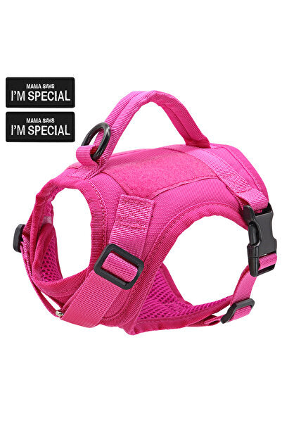 Choice سترة حزام قطط من النايلون باللون الوردي بحجم واحد يناسب الجميع مع ملصق...