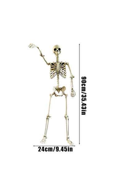 Choice 90 سم هالوين عظام جسم واقعية هيكل عظمي بشري بالحجم الطبيعي مع مفاصل قا...