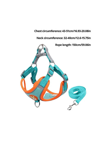 Choice M 3-6 كجم 1 قطعة قابلة للتعديل بدون سحب حزام عاكس للحيوانات الأليفة حز...