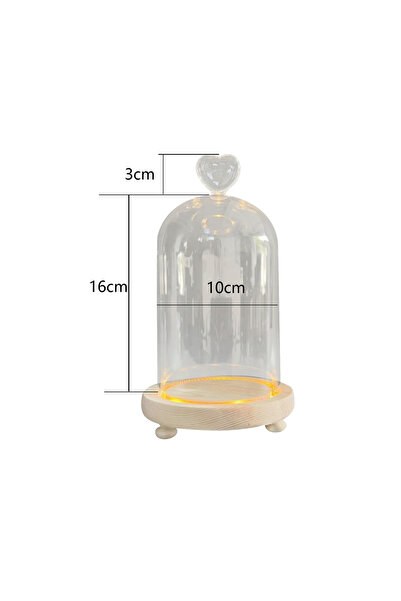 Choice قلب زجاجي شفاف قبة قاعدة خشبية تيراريوم زهور أبدية قباب زجاجية عرض شفاف