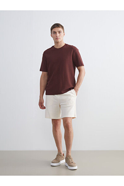 LC Waikiki Beige Standard Fit Men's Shorts