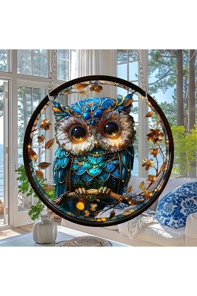 Choice 6 في 1 6 بوصة دائرية أكريليك بومة طائر على شكل حيوانات ماسك الشمس نافذ...