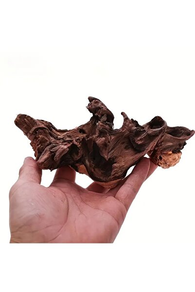 Choice1 1 قطعة 10-15 سم 1/2 قطعة ديكور حوض أسماك من الخشب الطبيعي الأصلي - زخ...