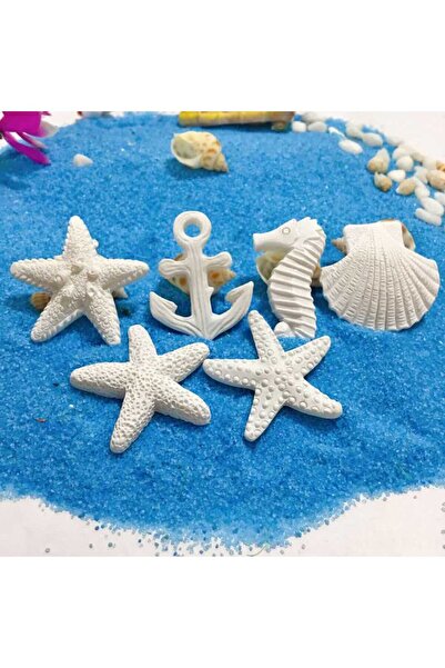 Choice 6 قطع 6 قطع زخرفة حوض السمك المحاكاة من الراتنج نجم البحر فرس البحر قاروس البحر حوض السمك زخرفة المناظر الطبيعية