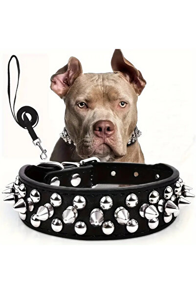 Choice مجموعة طوق ومقود للكلاب باللون الأسود، طوق للكلاب من الجلد المبرشم قاب...