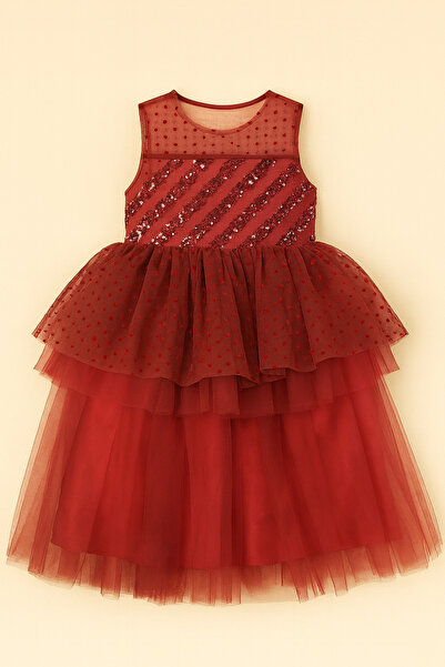 KOKOŞ BEBEK Girl's Flower Detailed Glittery Tulle Dress