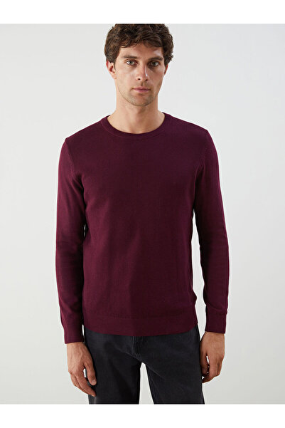 LC Waikiki Crew Neck Long Sleeve Men's Tricot Sweater