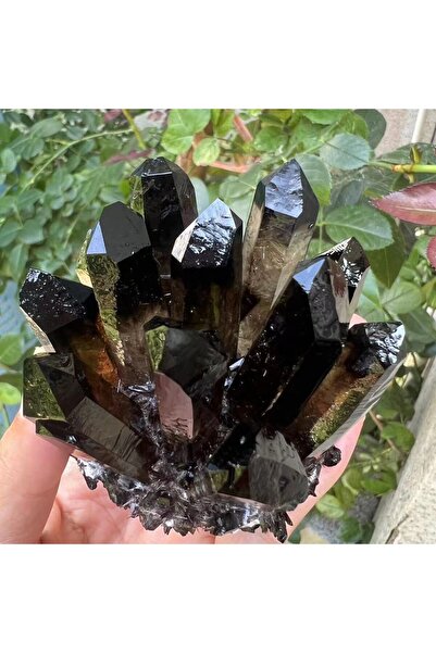 Choice 200-300 جرام 200-300 جرام كريستال كوارتز أسود طبيعي مدخن مجموعة معدنية...