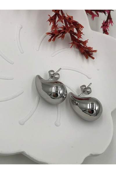 fmaccesories Women's Earrings Stainless Steel Color and Size Are Designed in ...