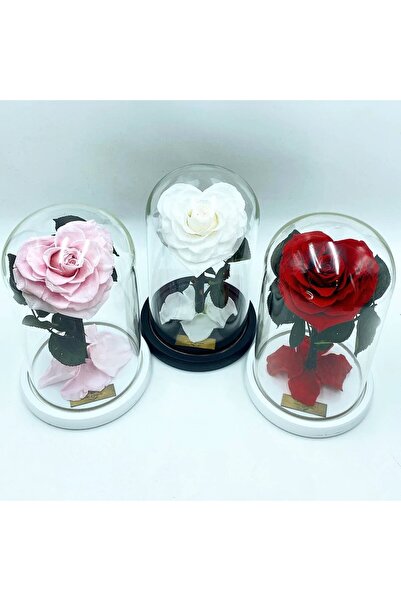 velve Cupola cu Trandafir Criogenat in forma de Inima Cupidon, Roz prafuit